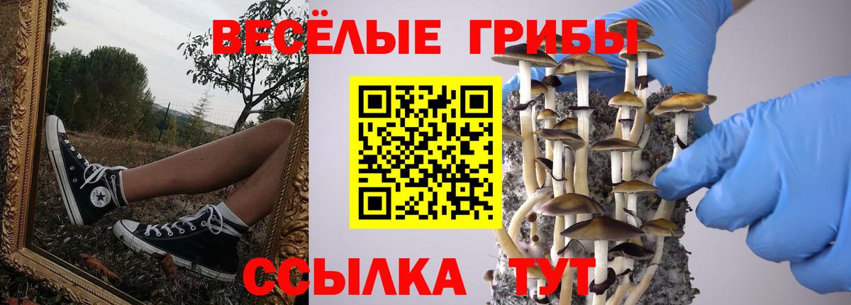 Киселёвск  Галлюциногенные грибы мицелий  Вход с VPN 